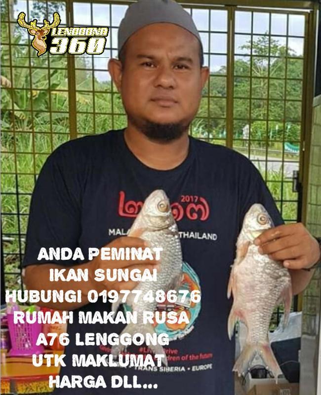 Branda Kampung Sumpitan Lenggong Tiada Sungai Hotel Kampong Ulu Jepai Buitenkant foto