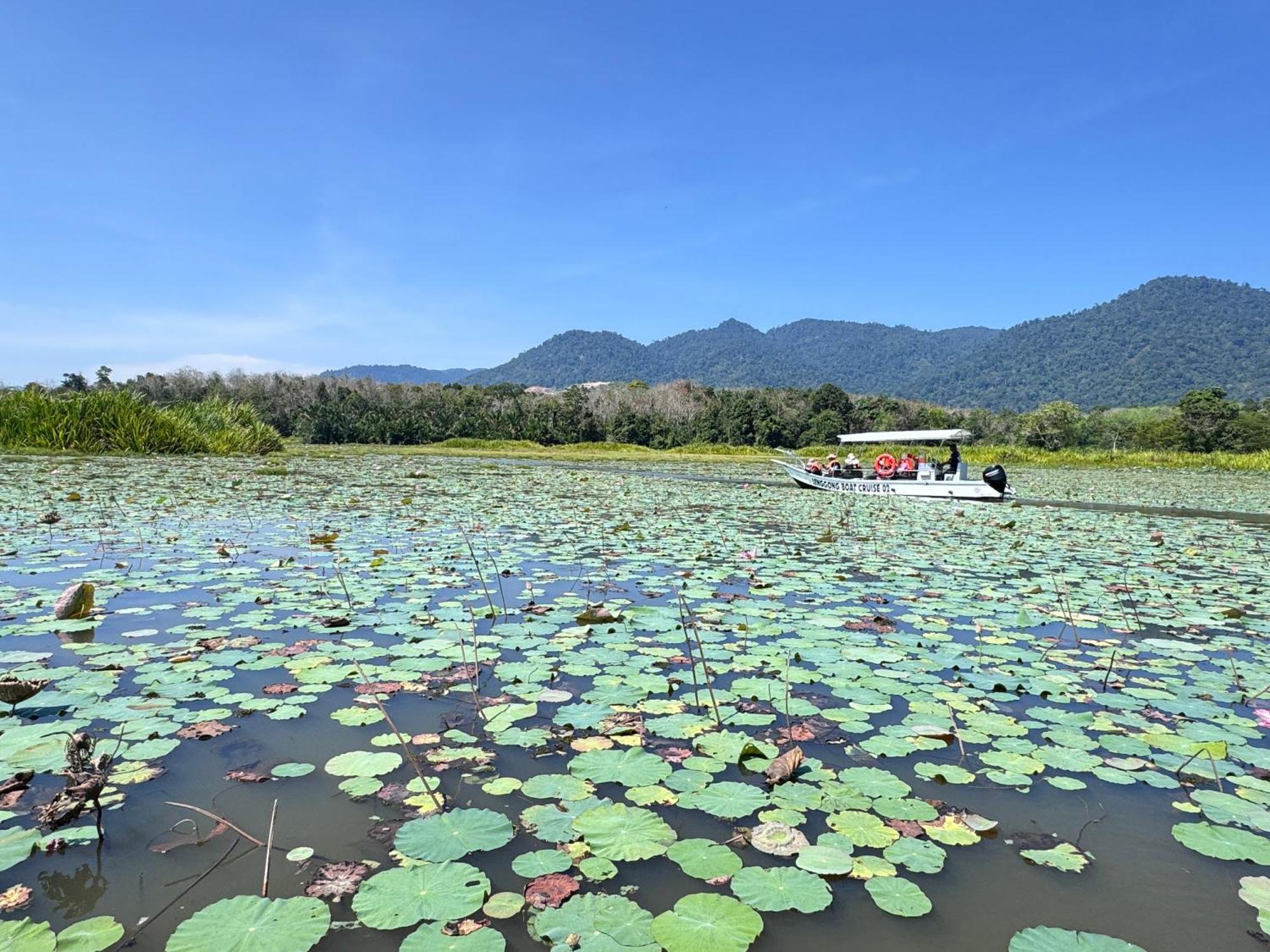 Branda Kampung Sumpitan Lenggong Tiada Sungai Hotel Kampong Ulu Jepai Buitenkant foto